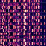 ft8