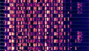 ft8