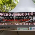 Artur Nogueira