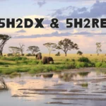 Elefantes próximos a um lago na savana africana, representando expedição DX